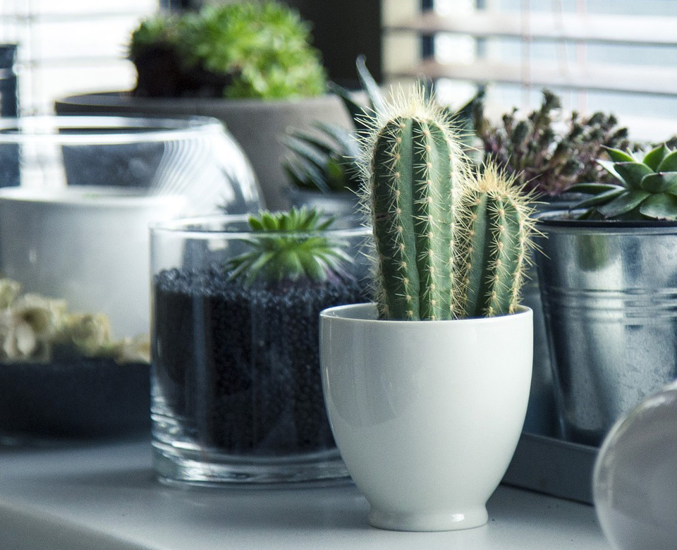 �m�������b������޹�˾������2017������һ�Ҿ߂���b�Y�|(zh��)���Լ��b�������㹤�b�ľC�����b�˾����(zhu��n)ע�ڞ����(hu��)��Ӣ�A���ṩ���ЙC(j��)���wסլ�b���Q�������γɪ�(d��)�صĺ��wסլ�b��O(sh��)Ӌ(j��)��ʩ�������Ĵ������ԠI(y��ng)ľ���a(ch��n)Ʒ...